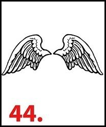 44