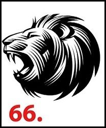 66