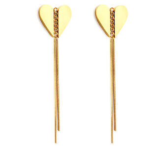 AK325a Kolczyki ze stali chirurgicznej SERCA długie