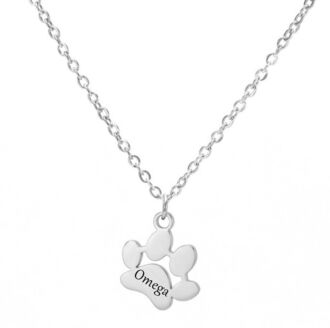 LN068b Naszyjnik ze stali chirurgicznej ŁAPKA srebrny