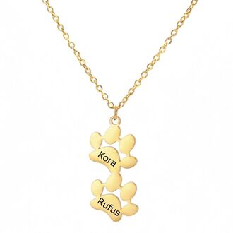 LN069a Naszyjnik ze stali chirurgicznej DWIE ŁAPKI złoty