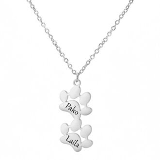 LN069b Naszyjnik ze stali chirurgicznej DWIE ŁAPKI srebrny